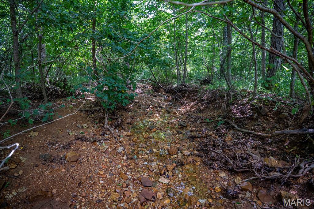 6499 Bcr 804 Bcr 804 Property Photo 47