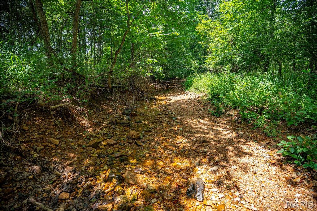 6499 Bcr 804 Bcr 804 Property Photo 48