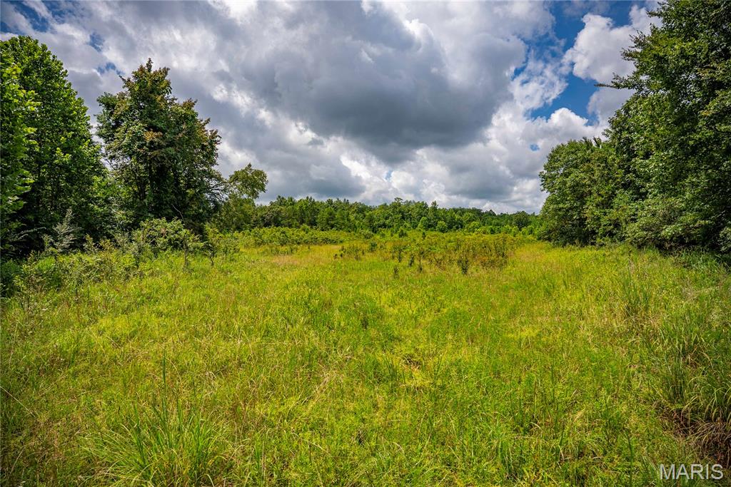 6499 Bcr 804 Bcr 804 Property Photo 49