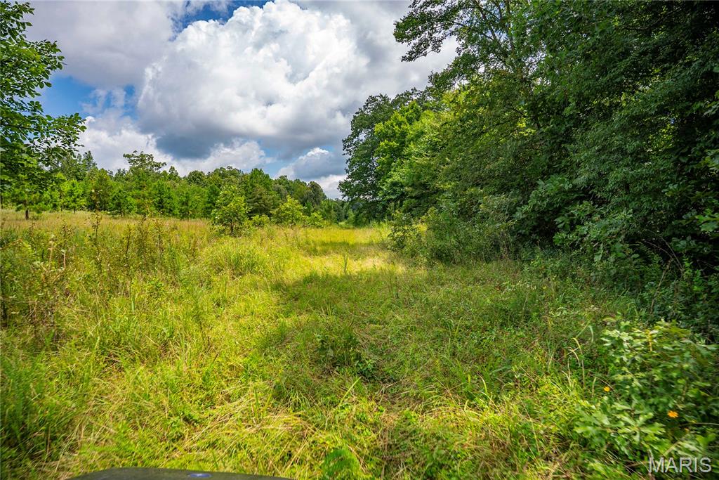 6499 Bcr 804 Bcr 804 Property Photo 50