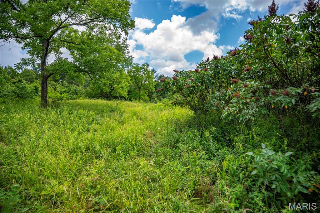 6499 Bcr 804 Bcr 804 Property Photo 52