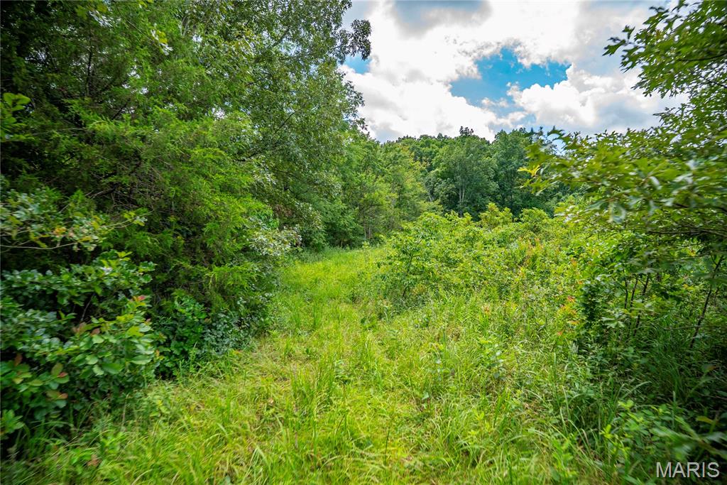 6499 Bcr 804 Bcr 804 Property Photo 54