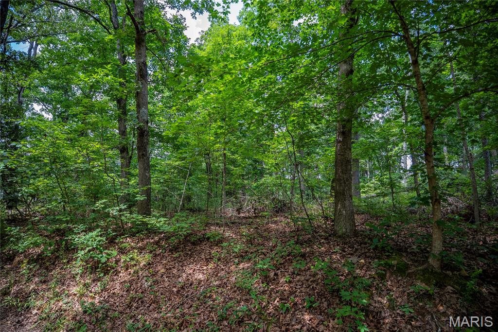 6499 Bcr 804 Bcr 804 Property Photo 57