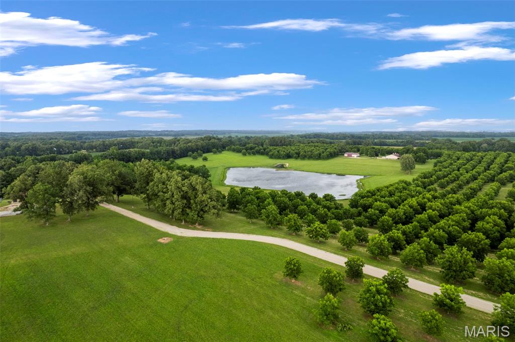 26047313 Property Photo 4