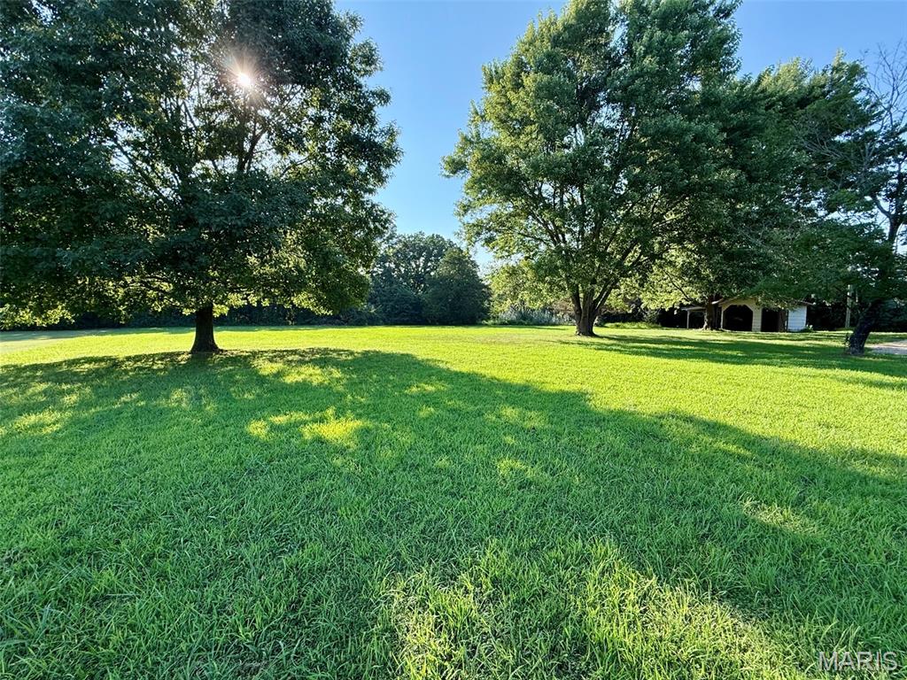 20 Edith Drive Property Photo 21