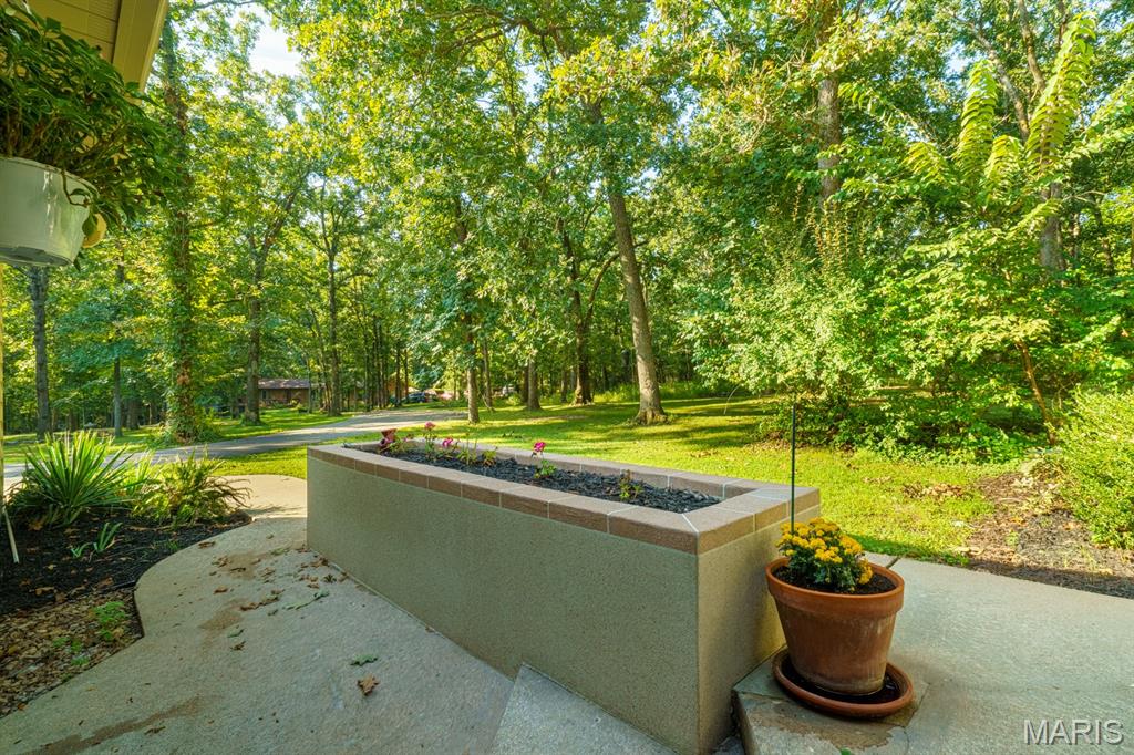 12311 Williams Place Property Photo 59
