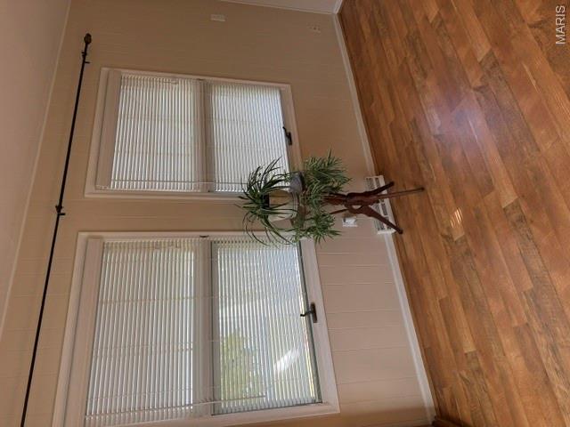 524 E 7th Street Property Photo 29