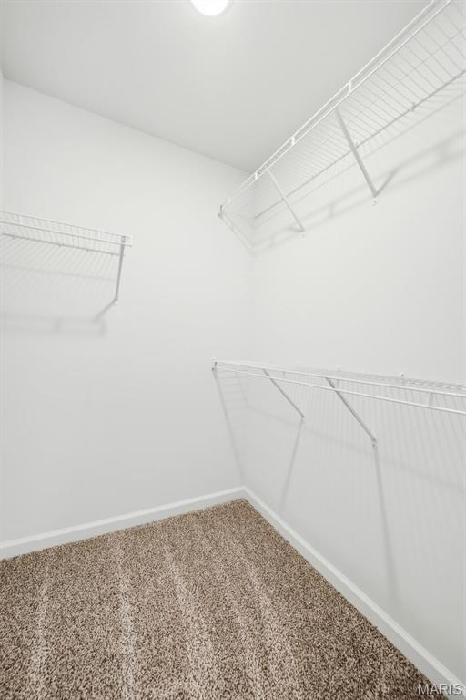 1021 Samwise Street Property Photo 34