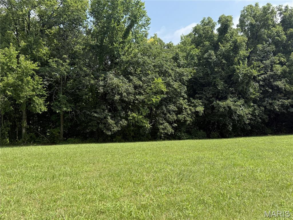 119 Coyote Crest Lane Property Photo 1