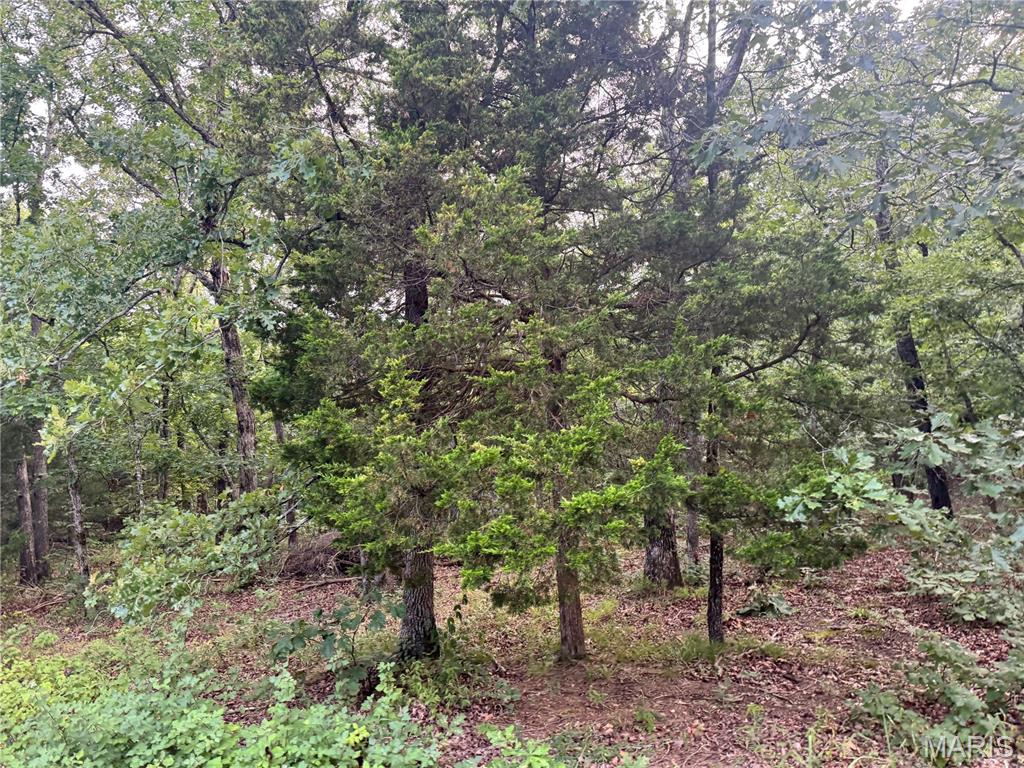 645 Pond Run Road Property Photo 1