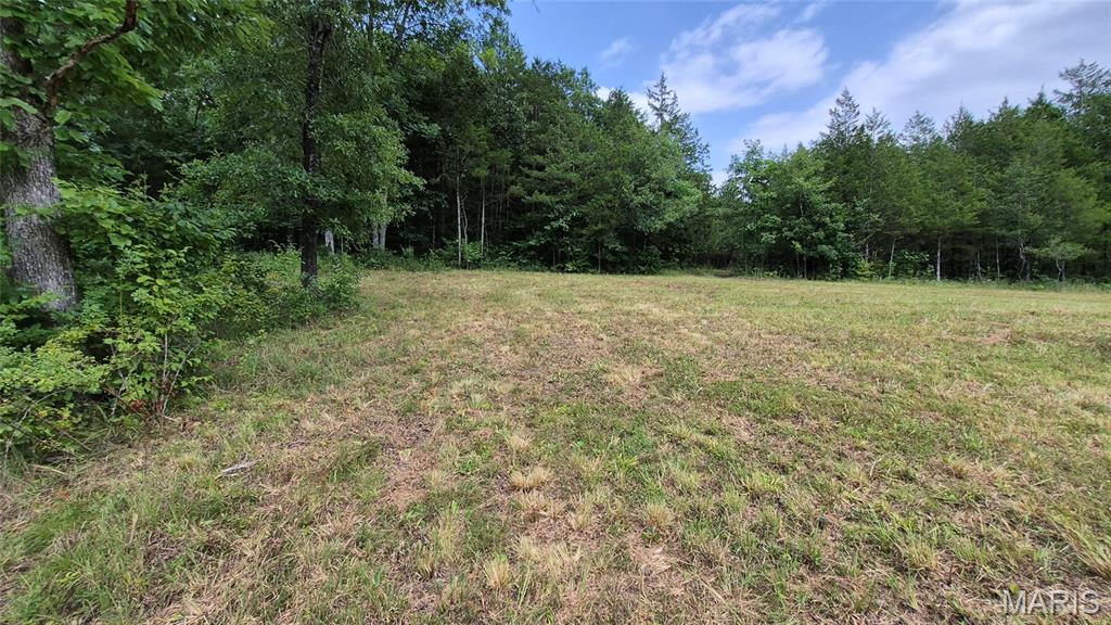 14163 Highway C Property Photo 21