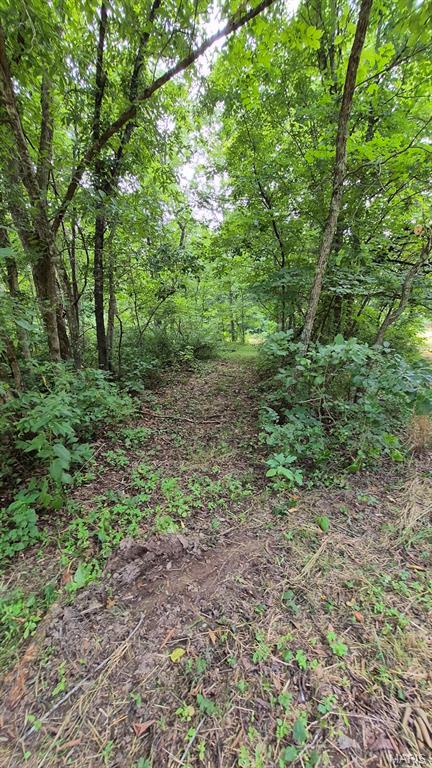 14163 Highway C Property Photo 26