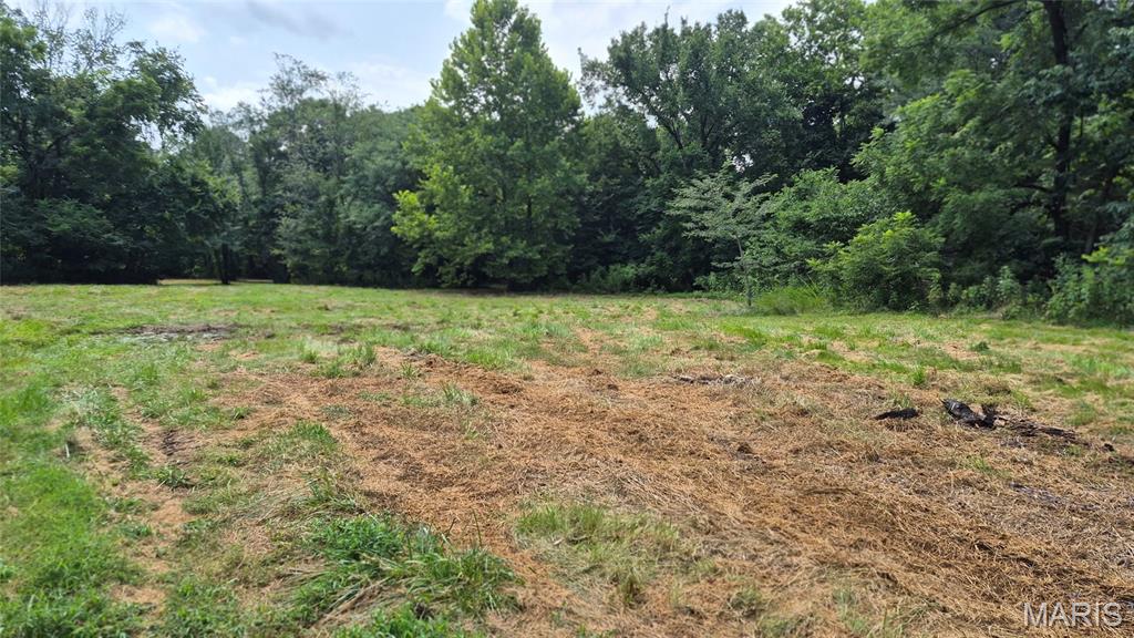 14163 Highway C Property Photo 28