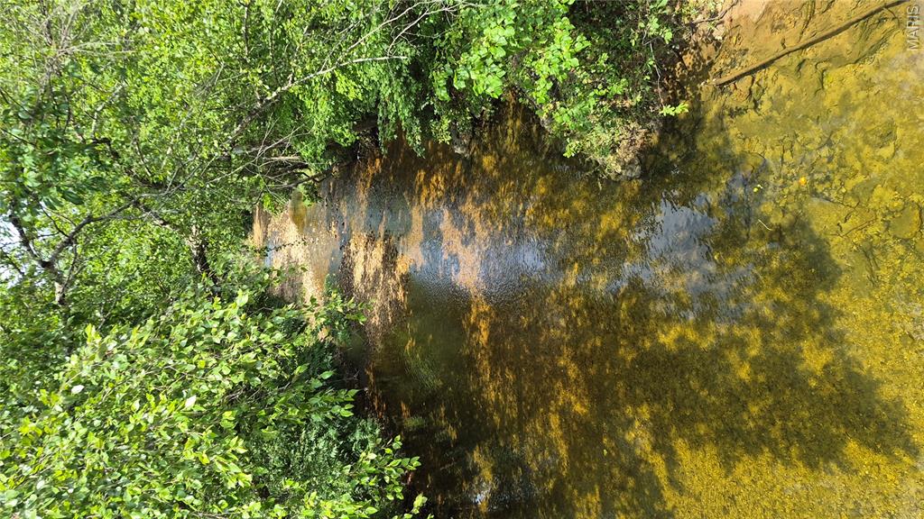 14163 Highway C Property Photo 46