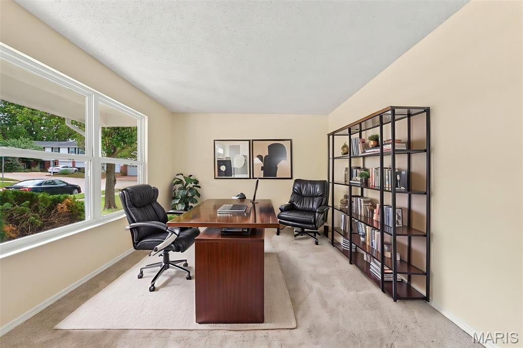807 Nykiel Court Property Photo 4