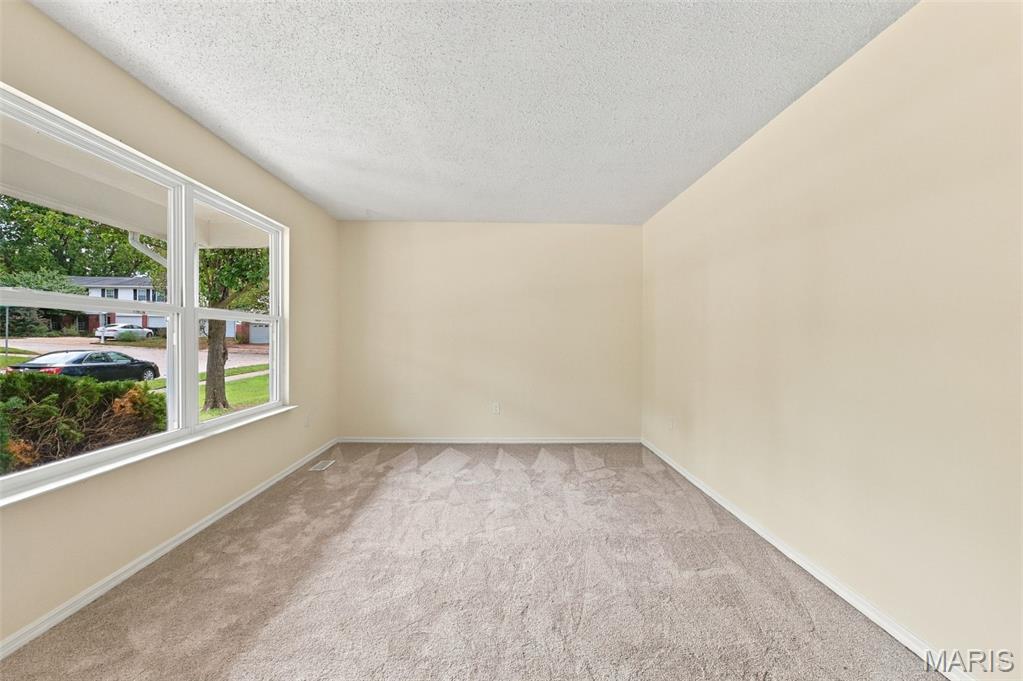 807 Nykiel Court Property Photo 5