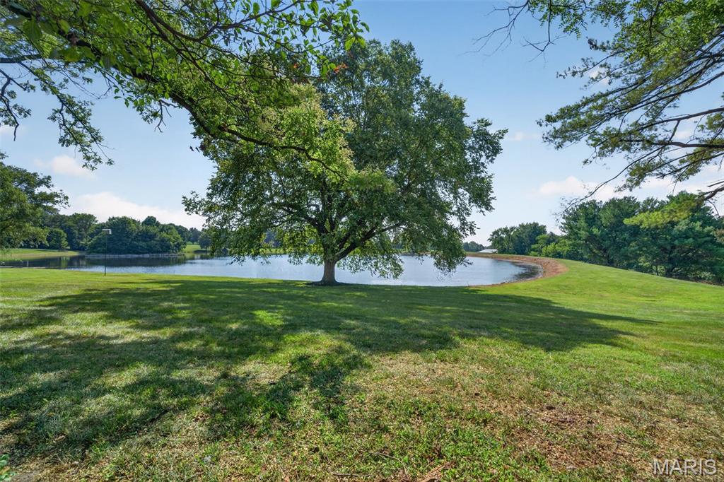 1461 Highway Ee Property Photo 96