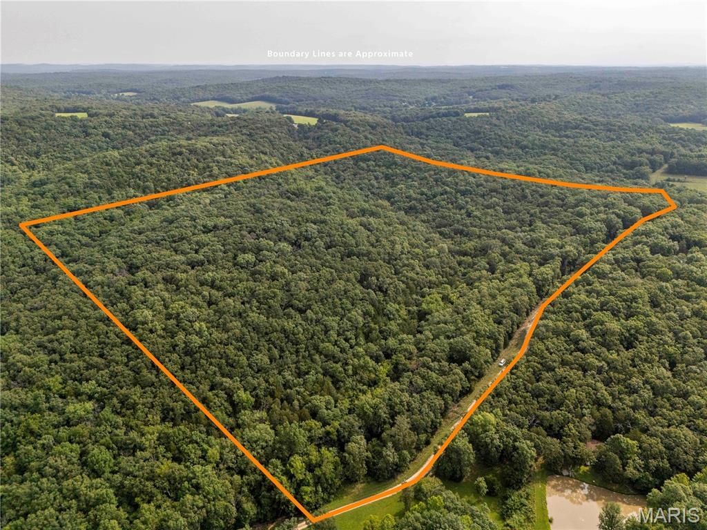 00 Walz Road Property Photo 1