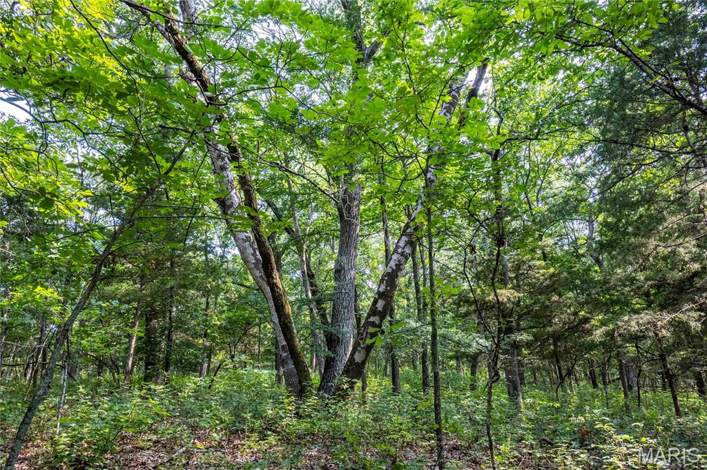 00 Walz Road Property Photo 3