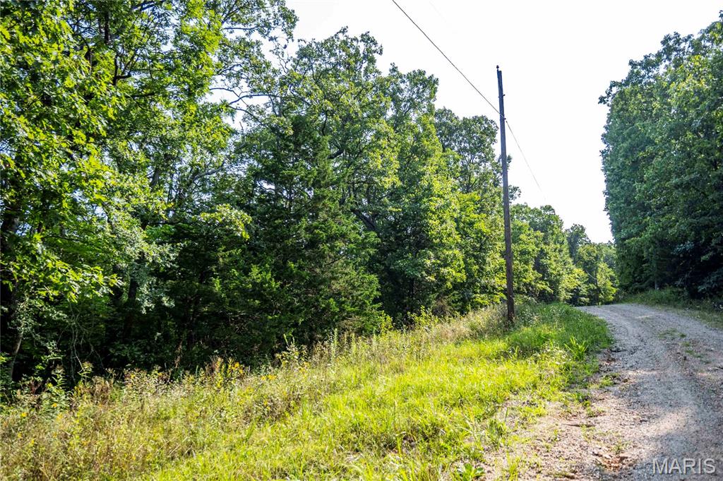 00 Walz Road Property Photo 5