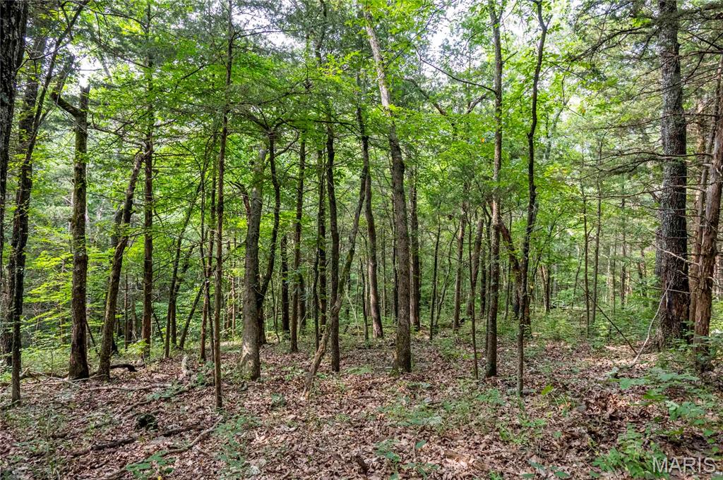 00 Walz Road Property Photo 16
