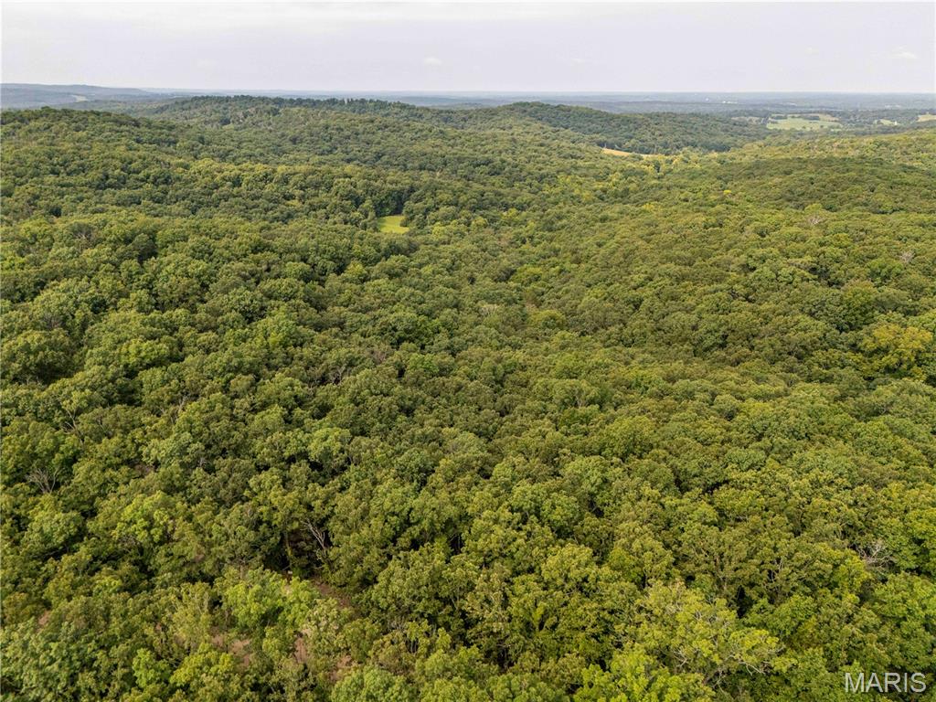 00 Walz Road Property Photo 17