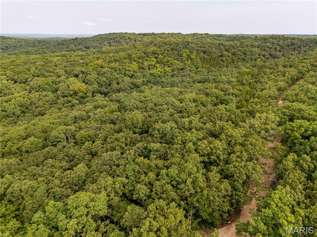 00 Walz Road Property Photo 18
