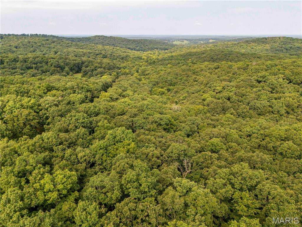 00 Walz Road Property Photo 19