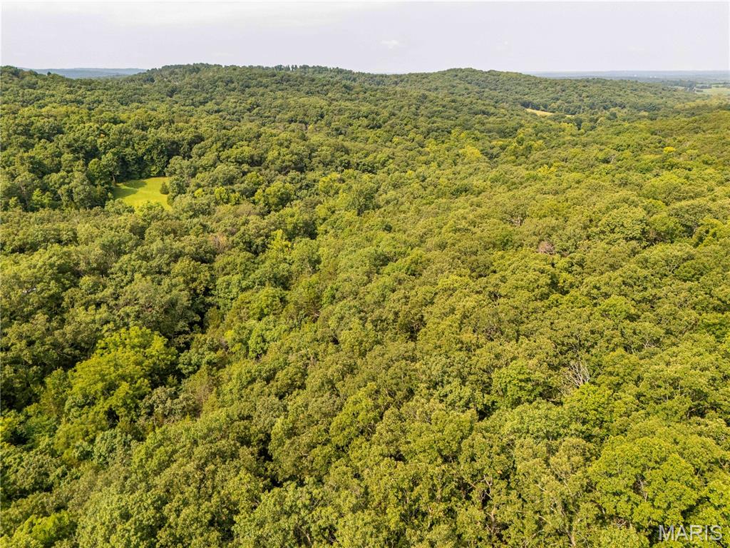 00 Walz Road Property Photo 27