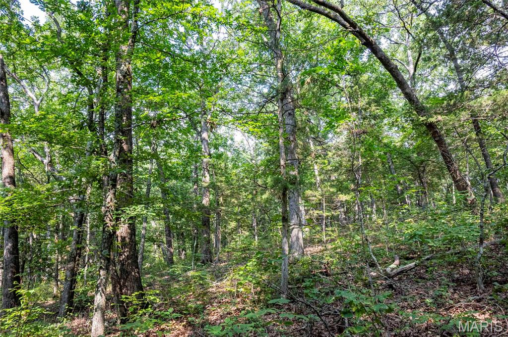 00 Walz Road Property Photo 29