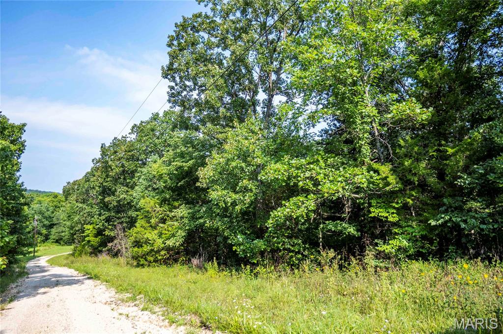 00 Walz Road Property Photo 34