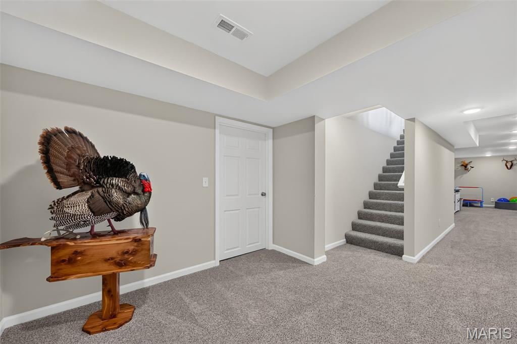 10 Andrew Court Property Photo 42