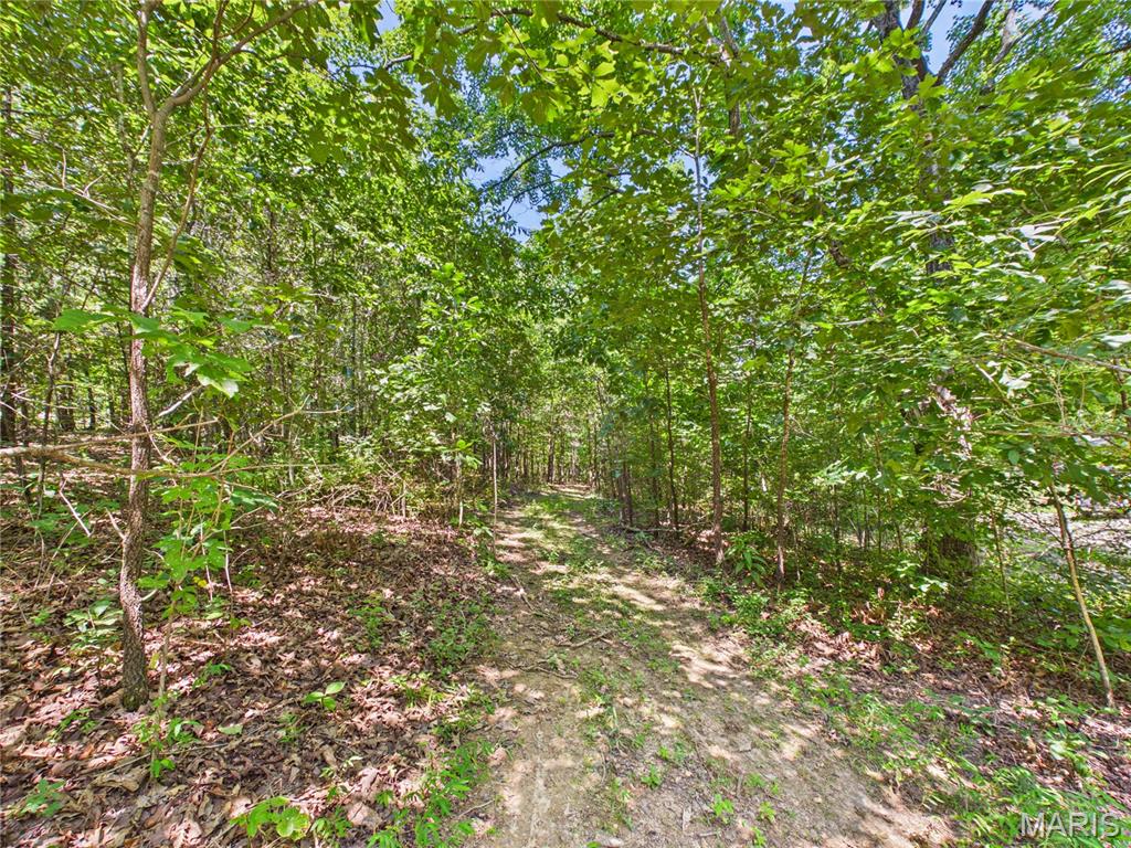 19191 Bcr 300 Property Photo 69