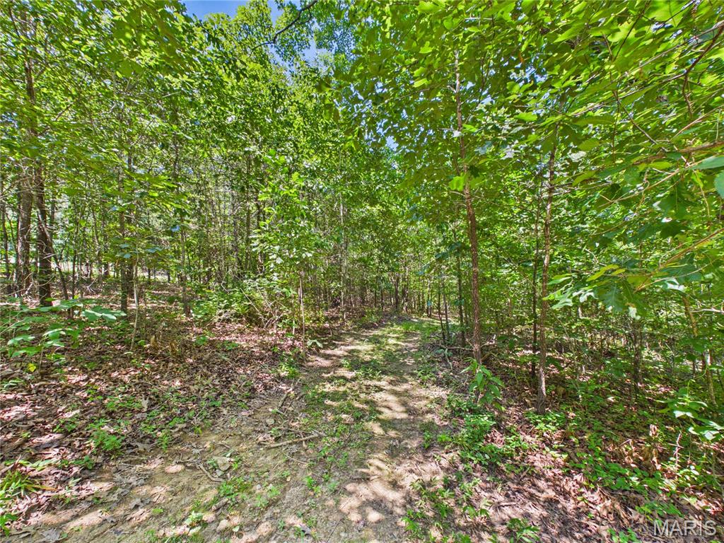 19191 Bcr 300 Property Photo 70
