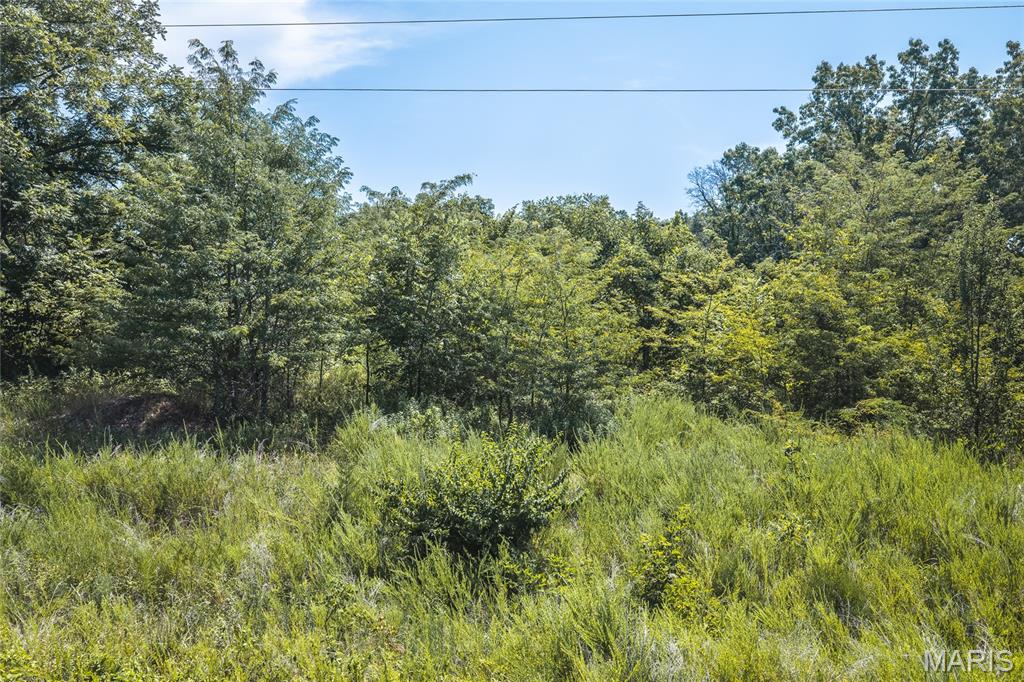 Lot 13a Loop Lane Property Photo 13
