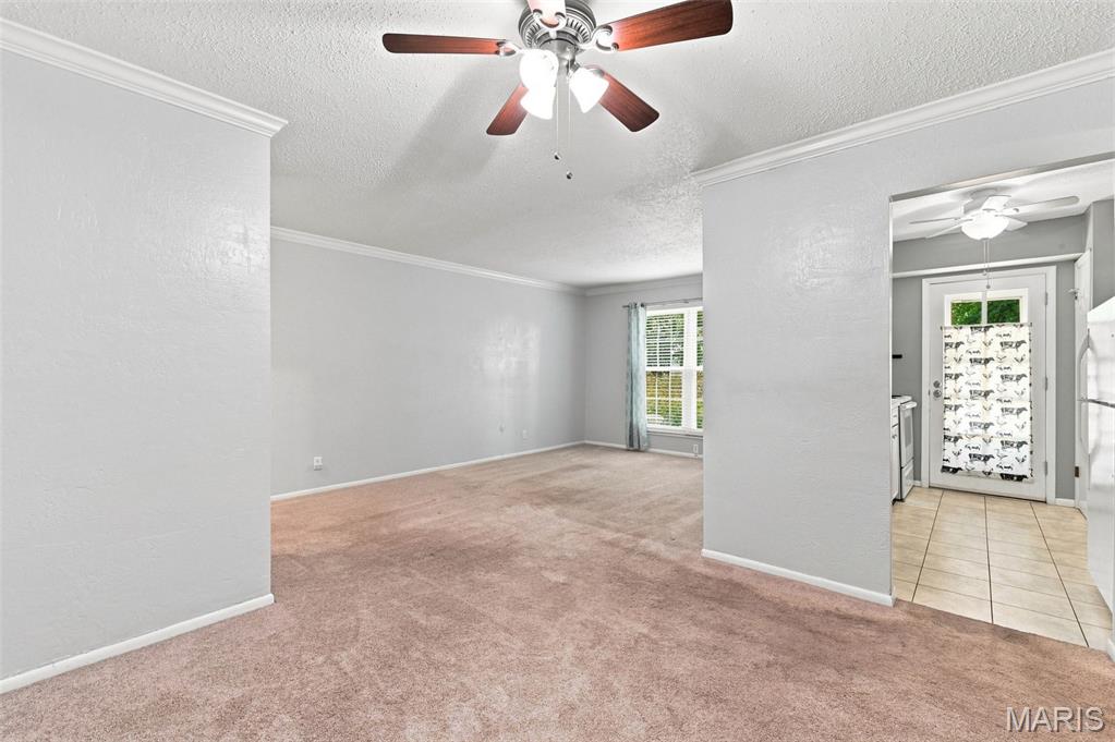 602 Rosetta Drive C Property Photo 5