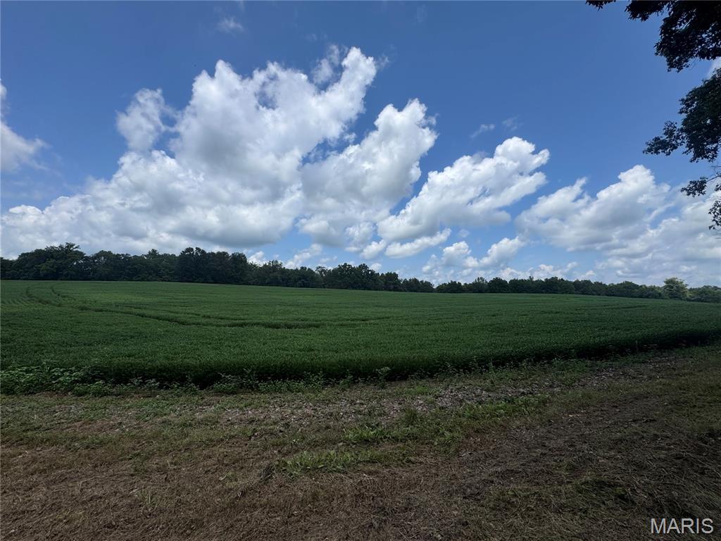 101.14+/- Ac Highway D Property Photo 1