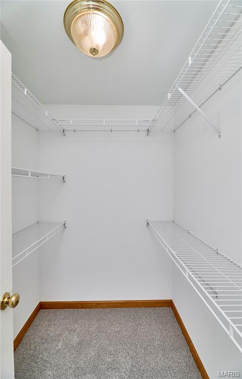 25 Spanish Oak Court Property Photo 39