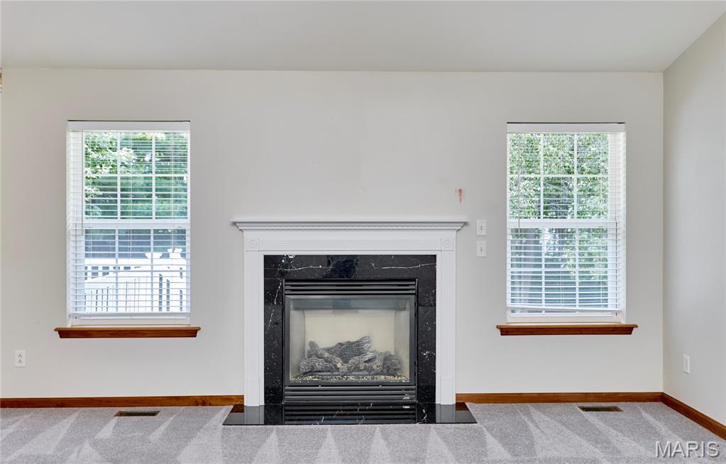 25 Spanish Oak Court Property Photo 54
