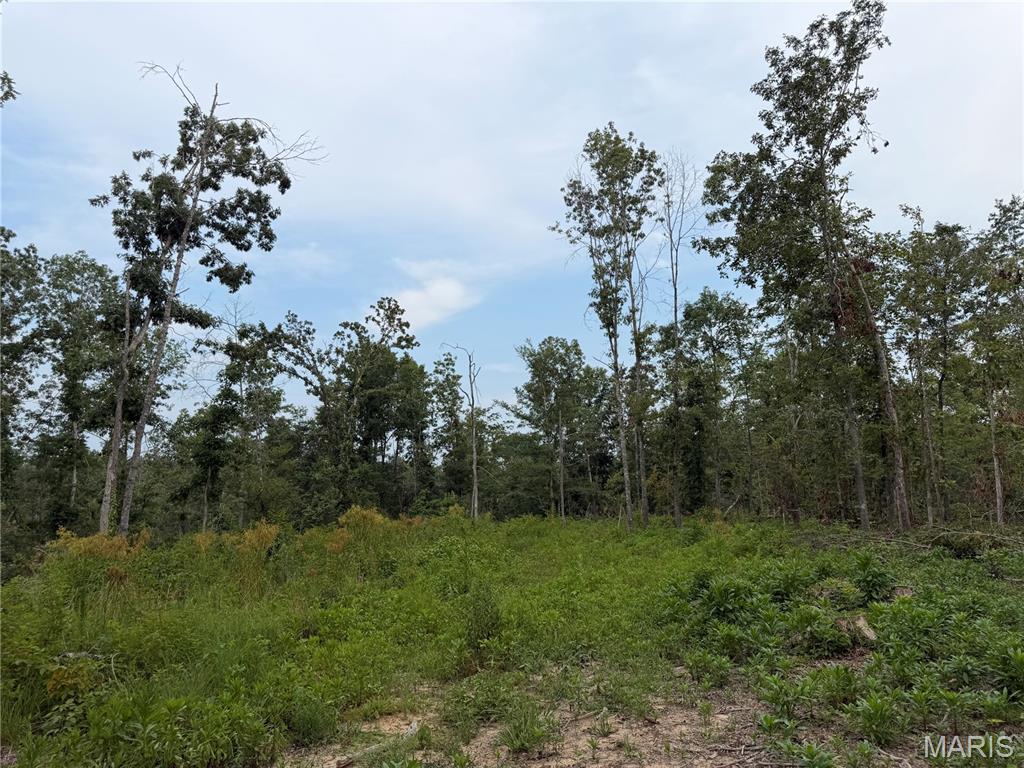 Tract 6 Bcr 702 Property Photo 5