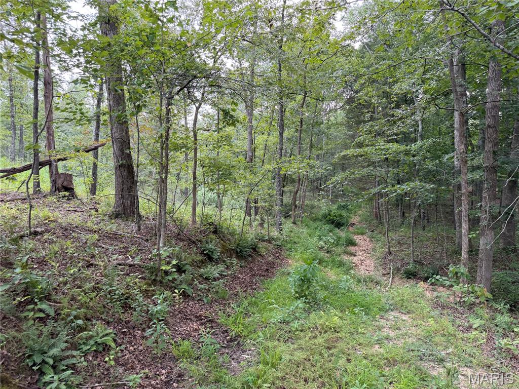 Tract 6 Bcr 702 Property Photo 7