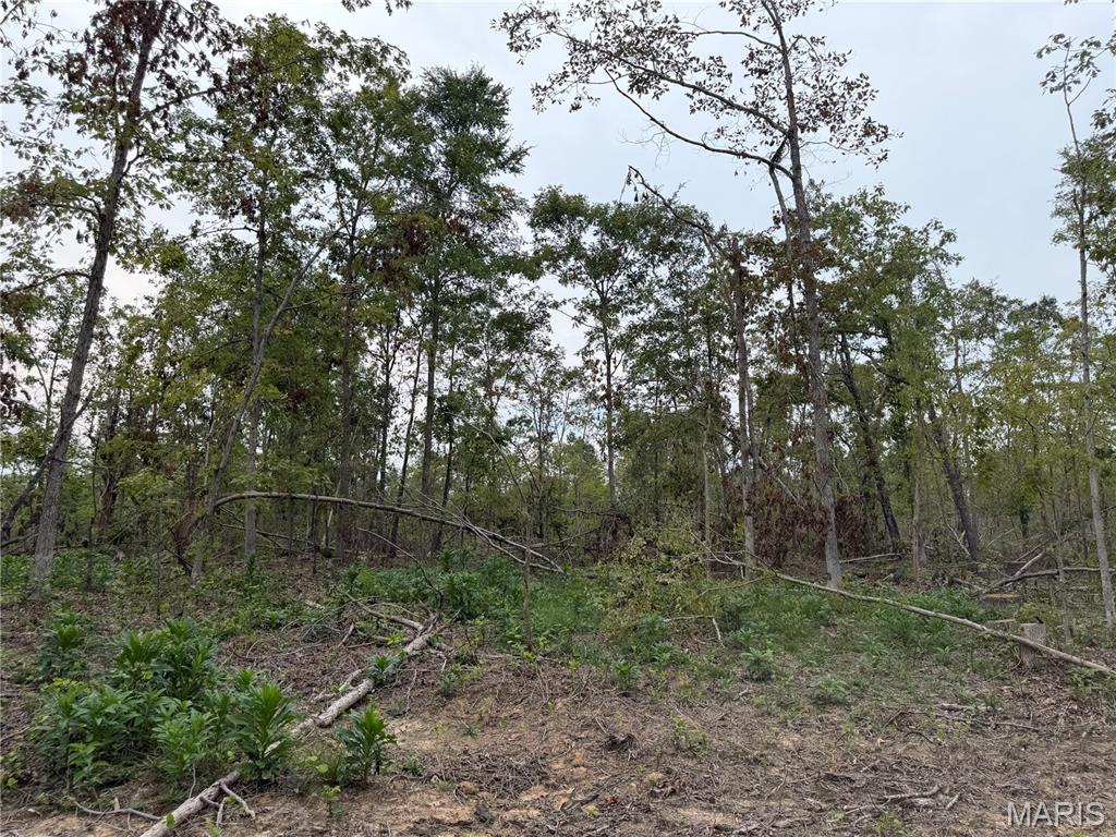 Tract 6 Bcr 702 Property Photo 8