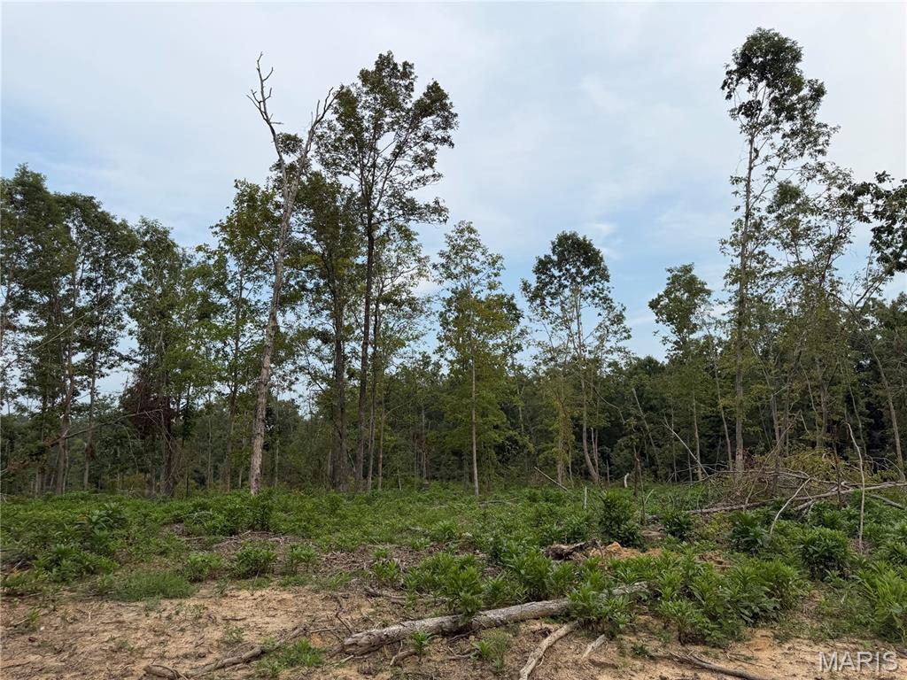 Tract 6 Bcr 702 Property Photo 11