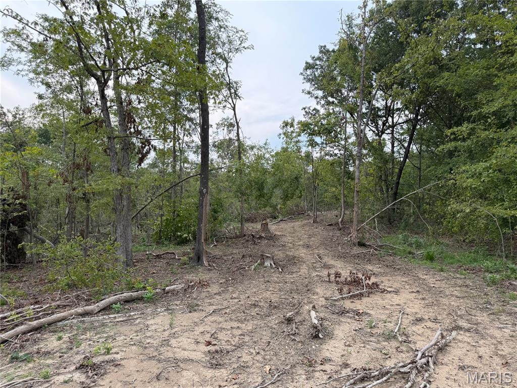 Tract 6 Bcr 702 Property Photo 16