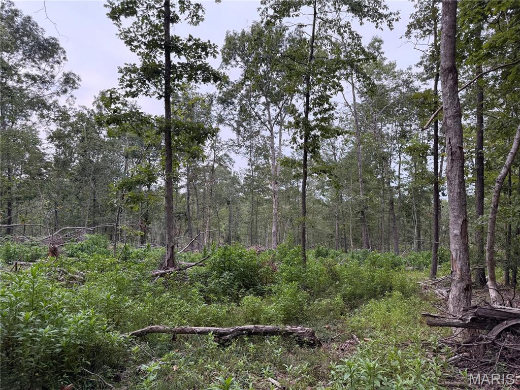 Tract 6 Bcr 702 Property Photo 18