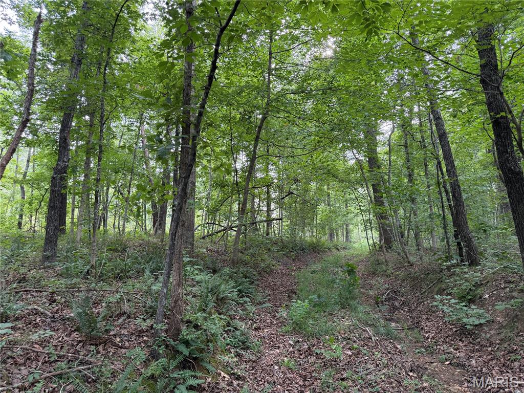 Tract 6 Bcr 702 Property Photo 21