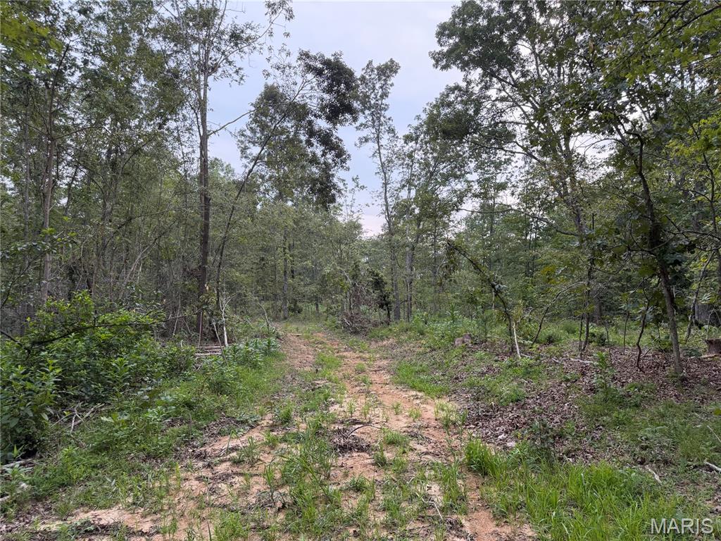 Tract 6 Bcr 702 Property Photo 22