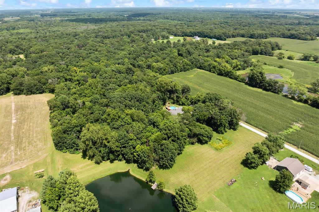 6849 Gushing Springs Property Photo 46