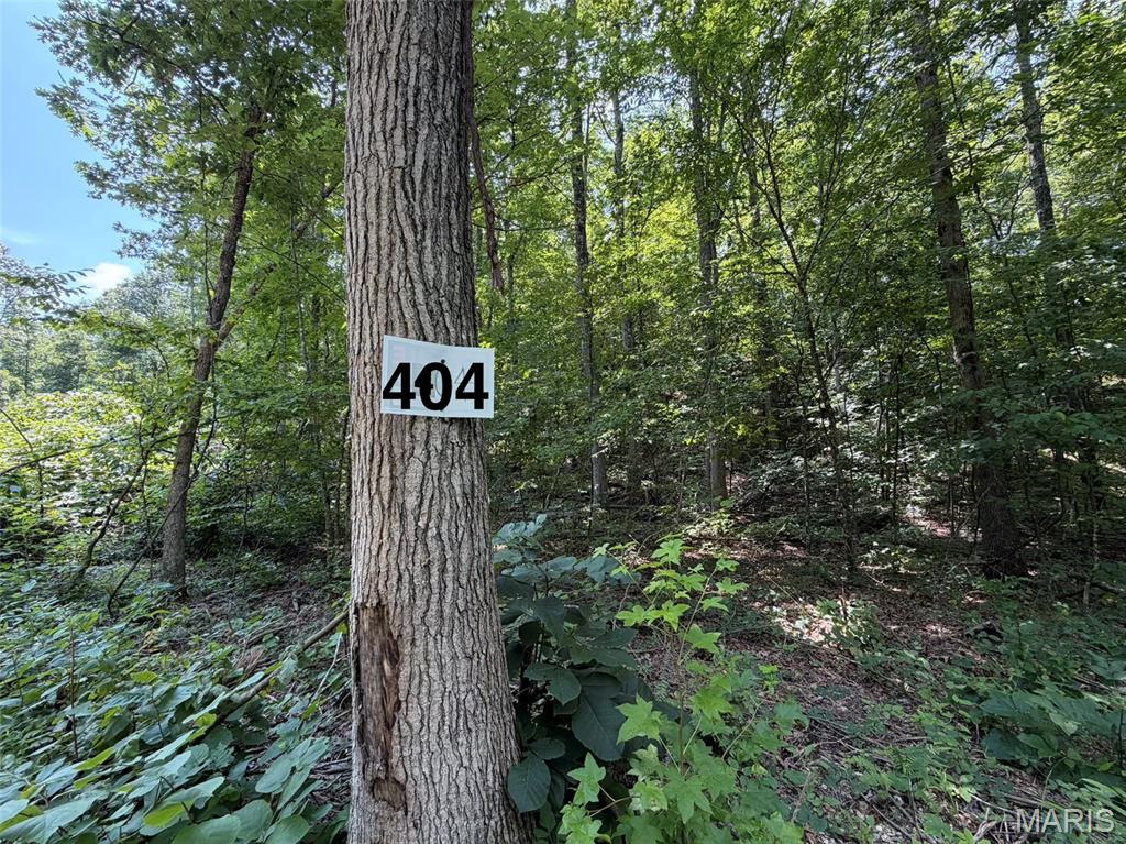 #404 Madison 410 Property Photo 1