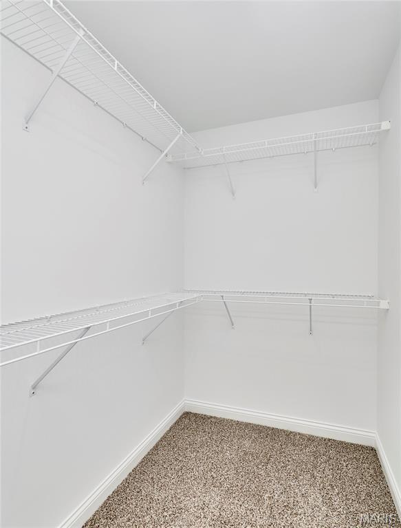132 Peruque Creek Manor Property Photo 45